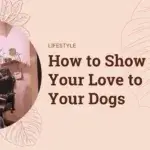 How to Show Your Love to Your Dogs