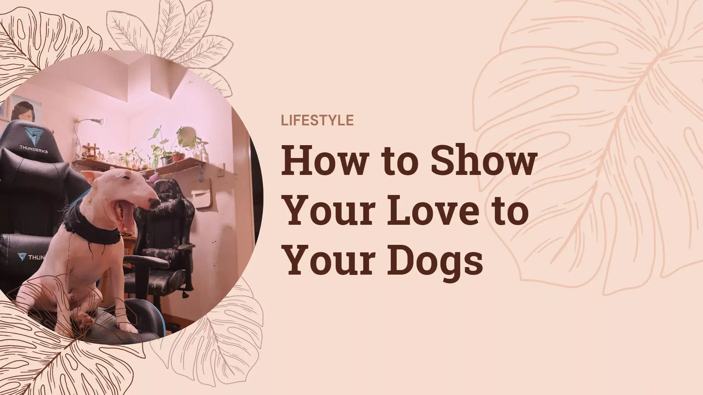 How to Show Your Love to Your Dogs