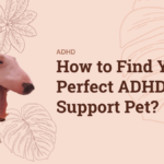 How to Find Your Perfect ADHD Support Pet
